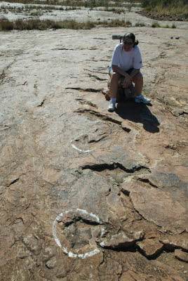 Lisa is not impressed with size of these tracks