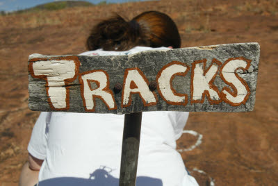 Sign clearly identifies dinosaur tracks