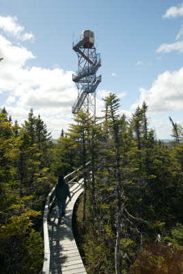 Terra Nova Tower