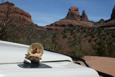 Mucho Mustacheo in Sedona