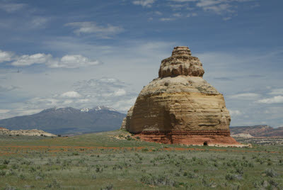 Beehive