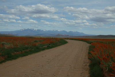 Dirt Road in Arches National Park