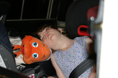 Katie and Nemo take a nap on the ride home