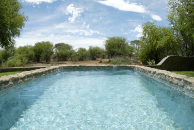 Pool at the Rhino Lodge