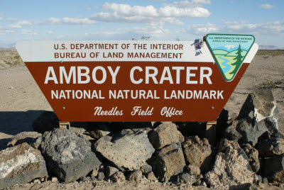 Anteater on the Amboy Crater Sign