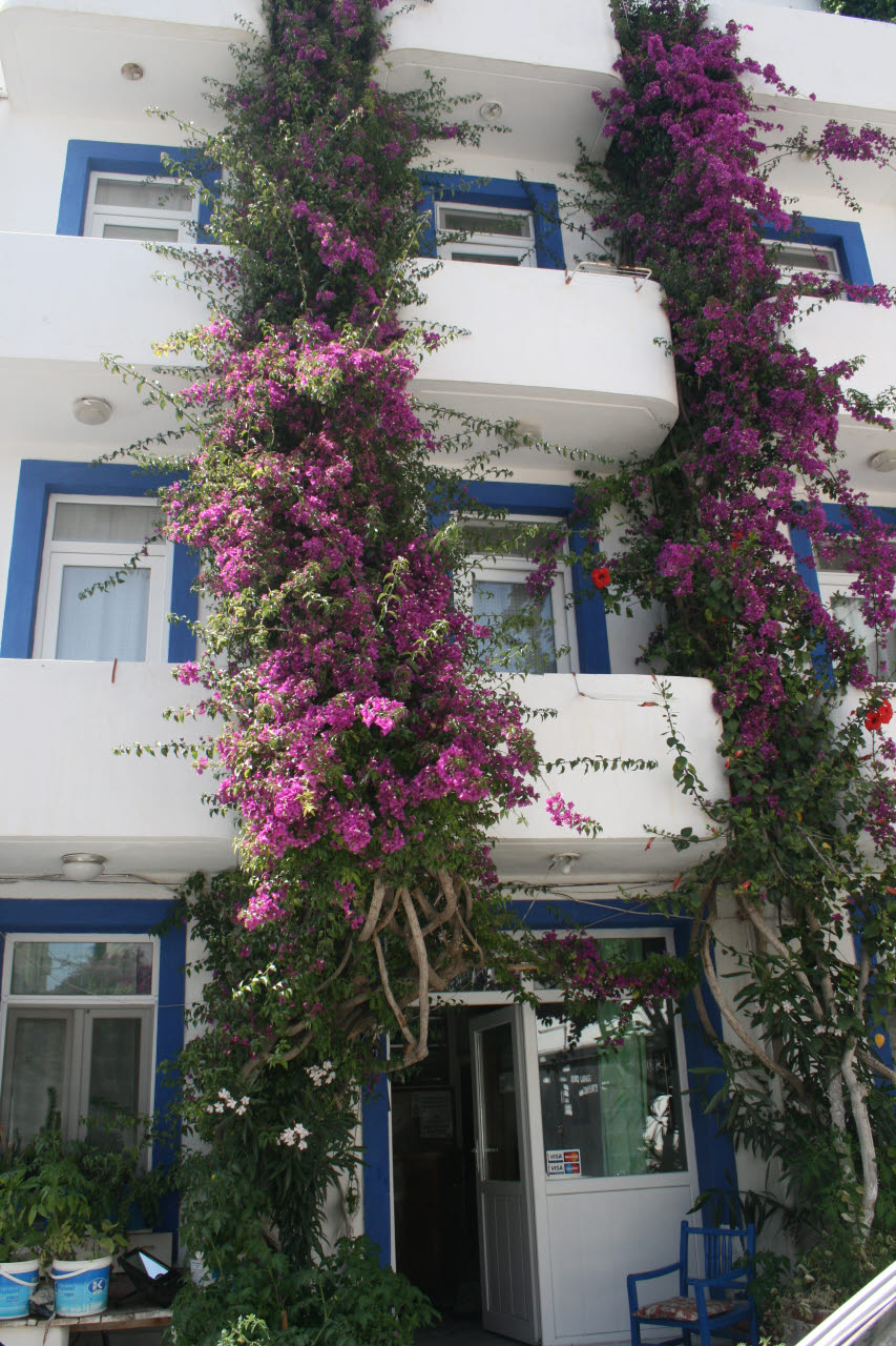 Evin Pansiyon Image Gallery